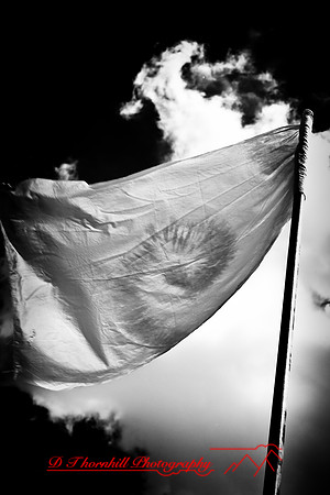 infrared-2009-bay-city_01-nik.jpg