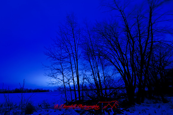 assorted_images-2008_16.jpg