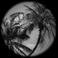 iPhone Photos - 2021 - 005