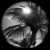 iPhone Photos - 2021 - 006