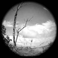 iPhone Photos - 2021 - 010