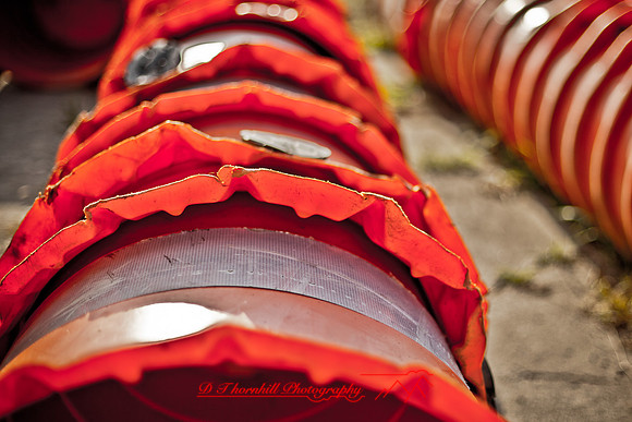 assorted_images-2011-161