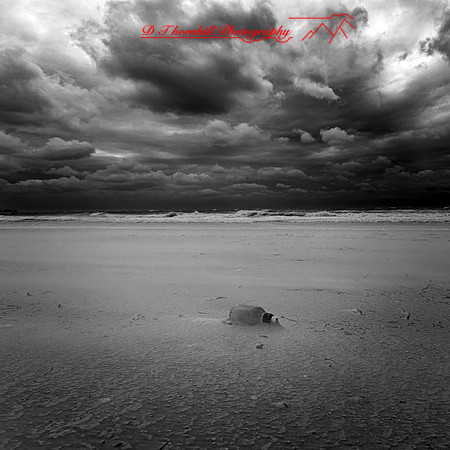florida - 2022 - spring - 075