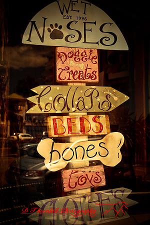 florida-2009-images_11.jpg