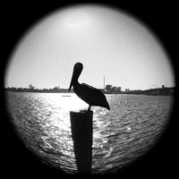 iPhone Photos - 2021 - 011