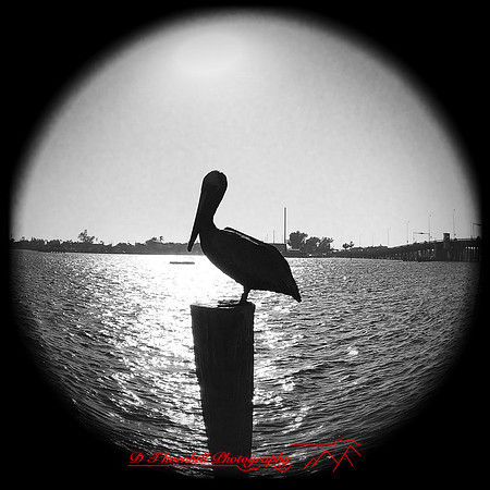 iPhone Photos - 2021 - 011