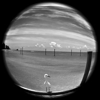 iPhone Photos - 2021 - 018