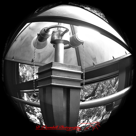 iPhone Photos - 2021 - 020