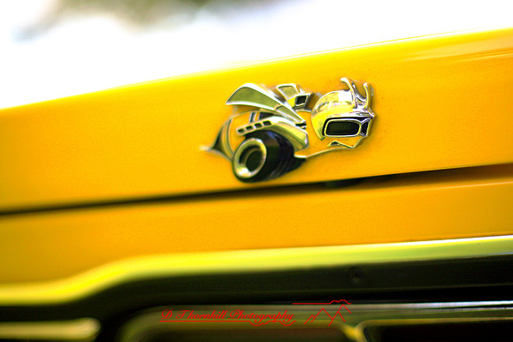 frankenmuth_auto-2007-53