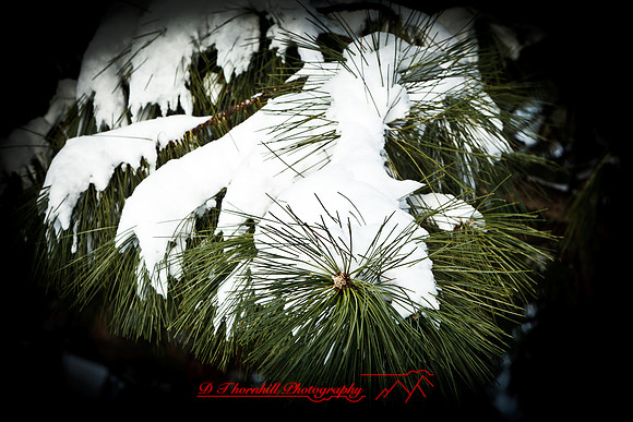assorted_images-2012-036