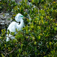 florida-2013-images-096