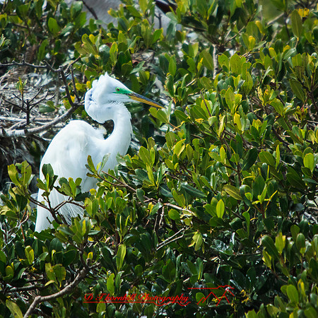 florida-2013-images-096