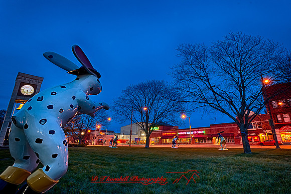 assorded_images-2012_1-01_HDR