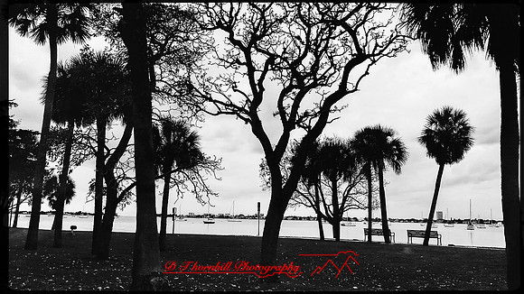 florida-march-2016-iphone-random-041