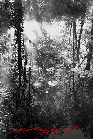 shiawasse-oct-2006_006