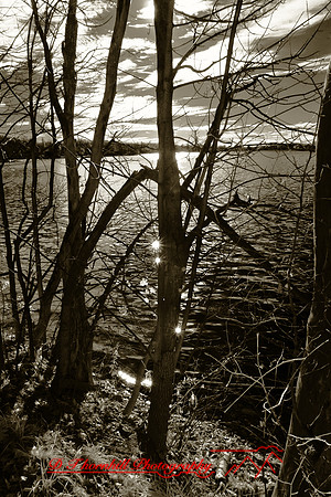 crystal_lake-infrared-2010_09-nik