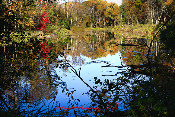 shiawasse-oct-2006_025