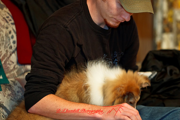 willy-2011-17-nas