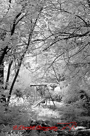 infrared-2008_030