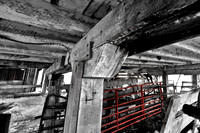 assorted_images-2011-60-nas