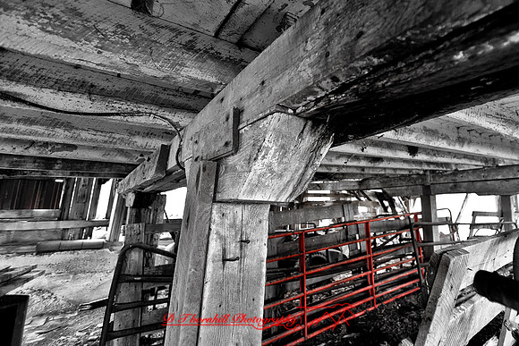assorted_images-2011-60-nas