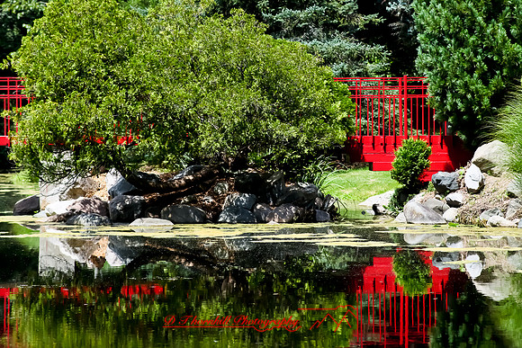 dow-gardens-2010_16