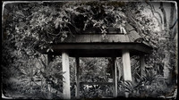 florida-march-2016-iphone-selby-gardens-020