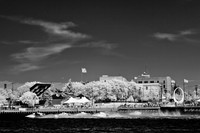river-roar-2011-infrared-16