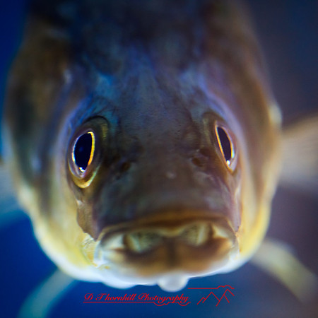 florida-nov-2014-sealife-003