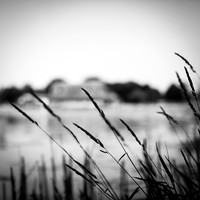 Wide Open-2017-082