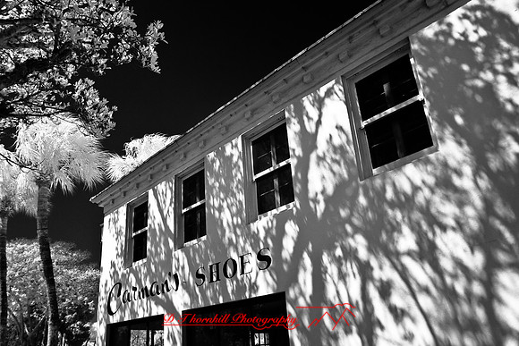 florida-2008-images-infrared_23.jpg