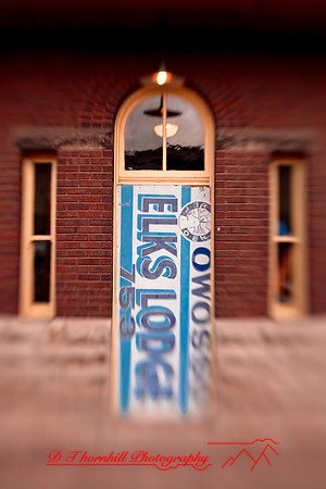assorted_images-2009_041.jpg