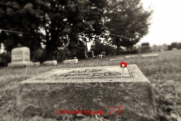 assorted_images-2011-132-nas