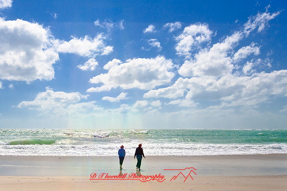 florida_images-2008_16.jpg