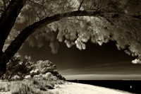 florida-infrared-images-2011-14-nas