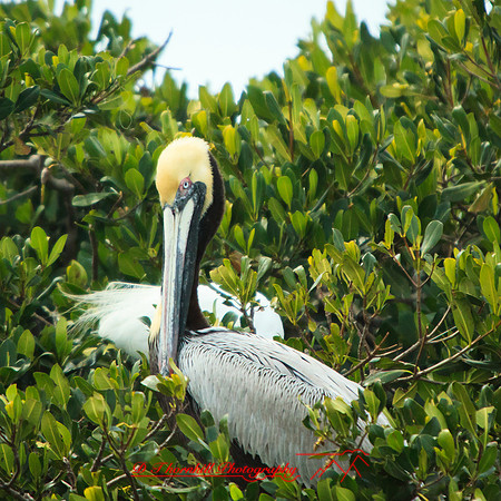 florida-2013-images-104