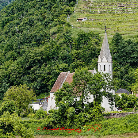 2025 - river cruise - 337_DxO