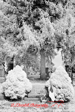 infrared-2008_058