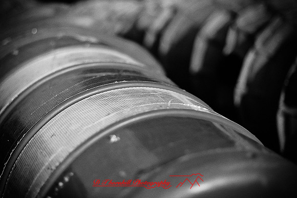 assorted_images-2011-162-nas