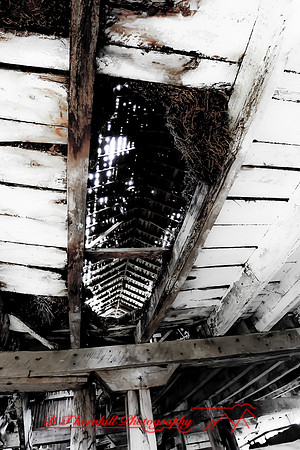 assorted_images-2011-48-nas