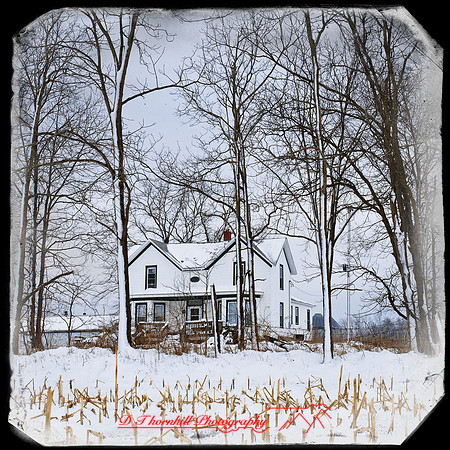 assorted_images-2012-157-nas