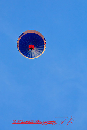 midland-balloon-2010_18