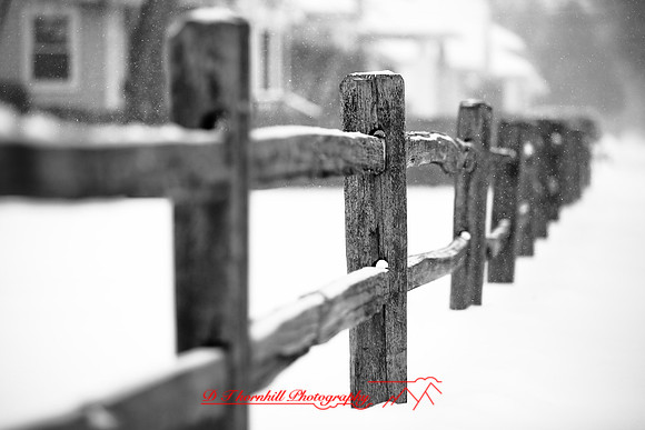 assorted_images-2009_012.jpg