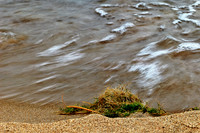 tawas-state-park-2011-08-nas