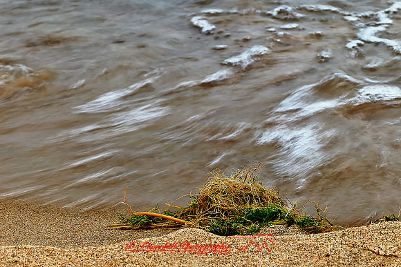 tawas-state-park-2011-08-nas