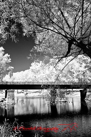 infrared-2008_122