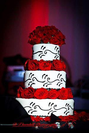 sara_will-wedding-2011-005
