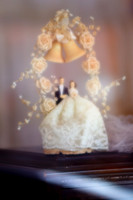 assorted-images-2010_032