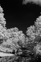 dow-gardens-infrared-2011-07