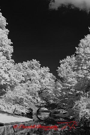 dow-gardens-infrared-2011-07